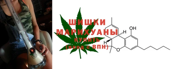 2c-b Горнозаводск