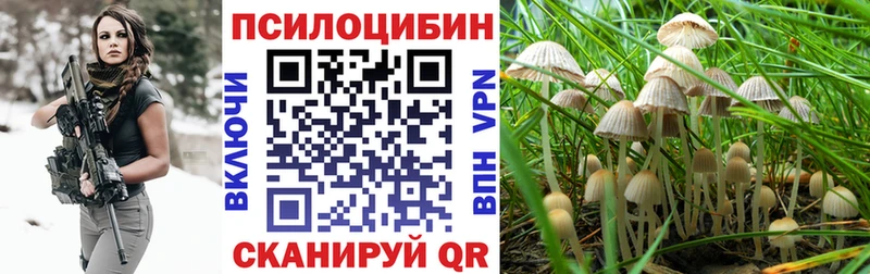 Псилоцибиновые грибы Cubensis  сколько стоит  Карабаш 