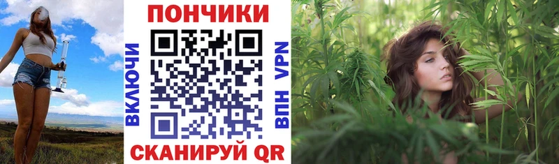 где можно купить наркотик  Карабаш  Бошки марихуана индика 